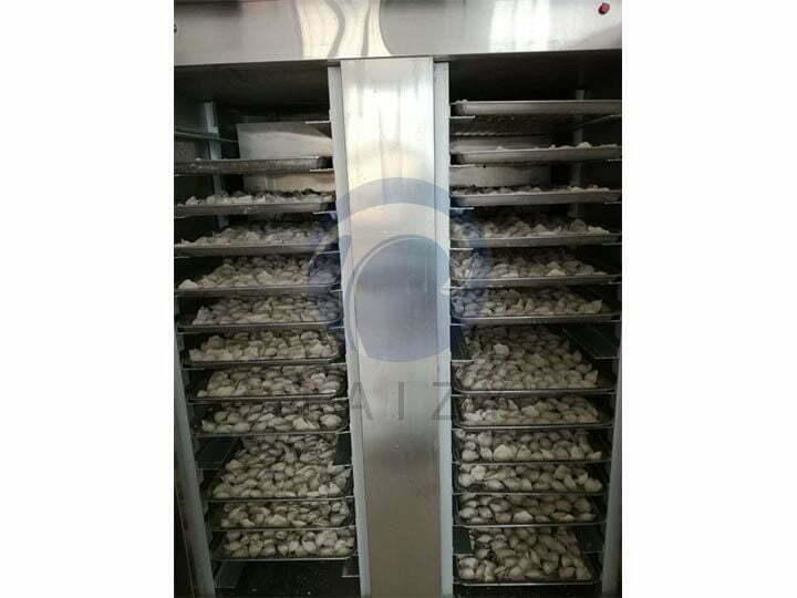 Flash freeze machine with dumplings on trays