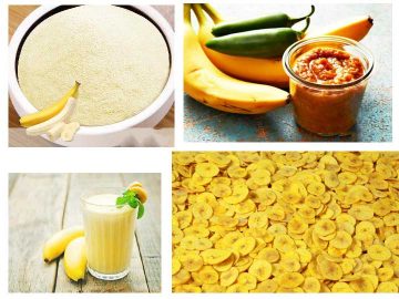 productos de procesamiento de banano