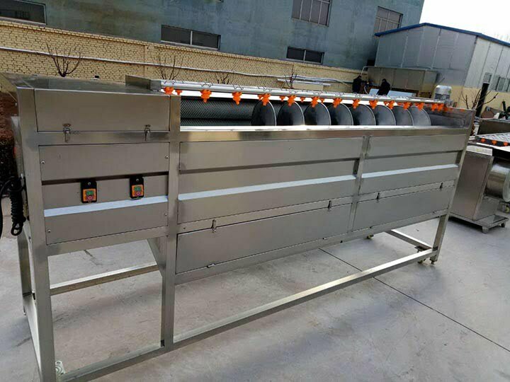 Screw brush potato peeling machine 1