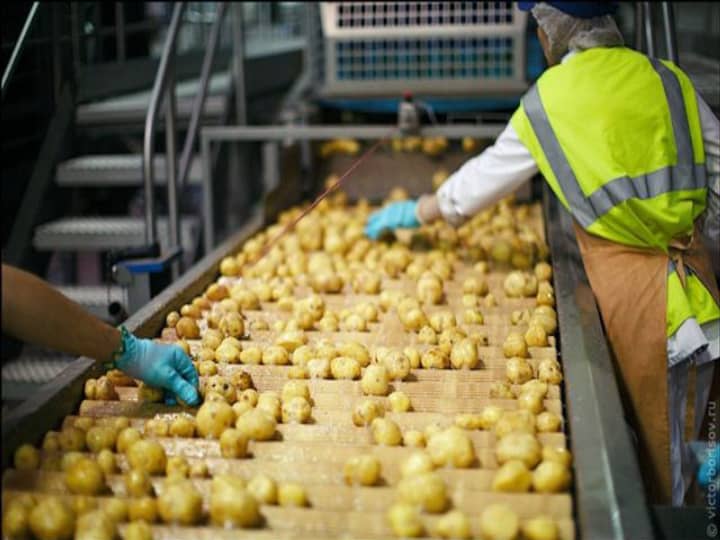 processus de production automatique de frites