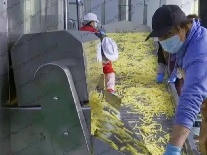 frozen fries production line supplier
